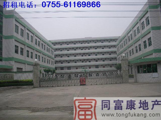 廠房招租圖片/廠房招租樣板圖 (4)