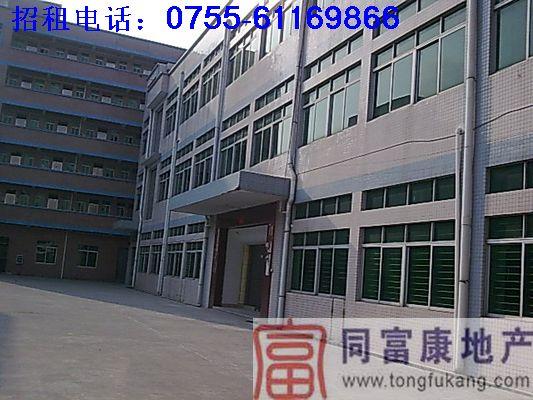 供應(yīng)大量公明廠房招租
