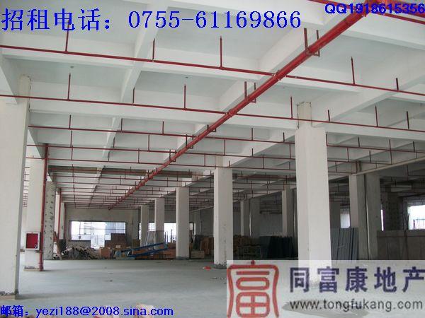 供應光明新區(qū)廠房歡迎承租