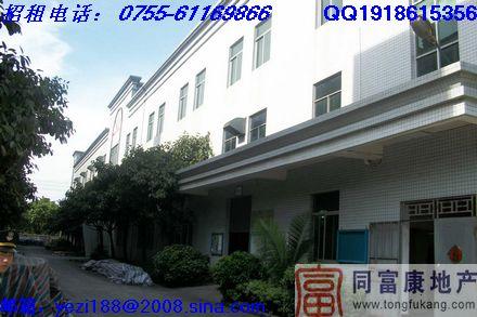 松崗獨(dú)院大型廠房招租圖片