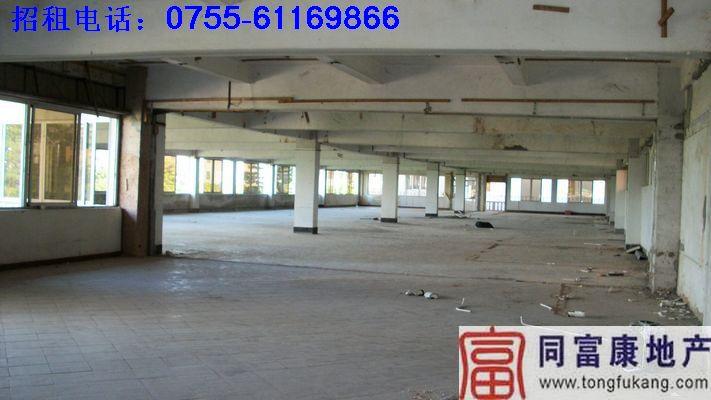 公明廠房圖片/公明廠房樣板圖 (3)