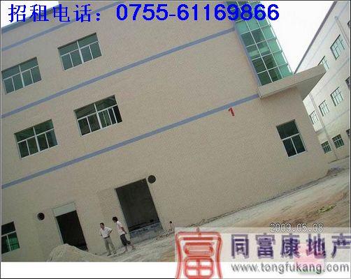 石巖廠房招租—廣東深圳廠房石巖廠房招租廣東深圳廠房