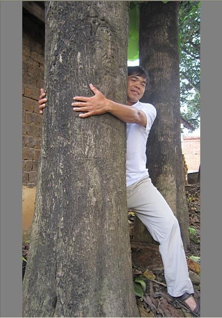 廣西橫縣圖片/廣西橫縣樣板圖 (4)