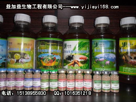 供应益加益粪便发酵除臭EM菌种菌液养殖蚯蚓专用产品