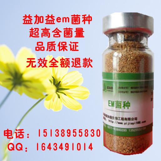 供应神奇em菌种在养殖上的应用em原露生物em菌种价格又称em菌粉