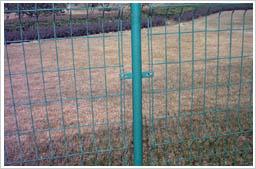 供應雙邊絲護欄網(wǎng) 安平縣天寶金屬絲網(wǎng)廠 13722803533