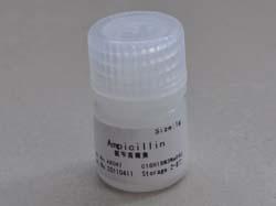 供應(yīng)溶菌酶Lysozyme