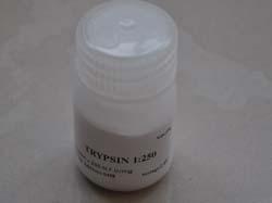 供應(yīng)胰蛋白酶Trypsin125