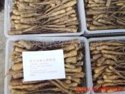 供應(yīng)山東鄆城*的鐵棍山藥