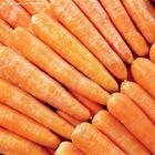 供應(yīng)山東日本三紅胡蘿卜的生產(chǎn)廠家