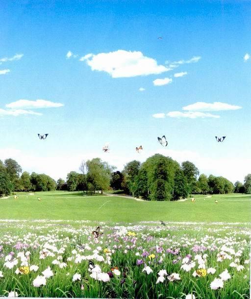 供應(yīng)風(fēng)景卷簾-02