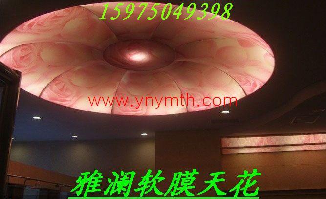 軟膜天花趨勢圖片