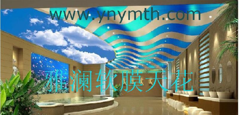 供應(yīng)襄樊市軟膜天花安裝價(jià)格