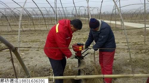 供应大棚打坑机--建大棚机器--大棚柱子打坑机图片