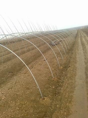 供應(yīng)河北果樹(shù)施肥機(jī)/河北果樹(shù)施肥機(jī)價(jià)格/河北果樹(shù)施肥機(jī)供應(yīng)