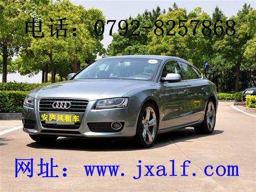 供應(yīng)九江租車公司安廬風(fēng)汽車租賃公司