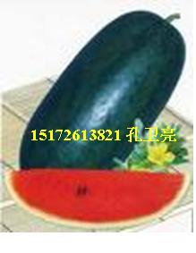 供應(yīng)湖北宜城市流水鎮(zhèn)西瓜盼您前來(lái)采購(gòu)