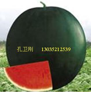 供應湖北宜城市流水鎮(zhèn)2013年6月底西瓜上市