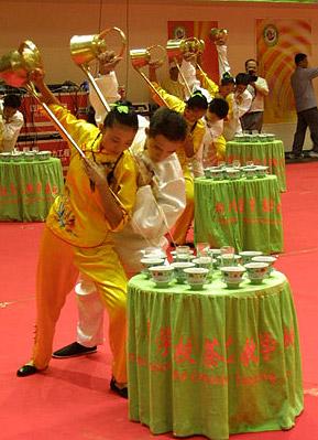 供應(yīng)大量龍井茶苗、大量湖南大葉種茶苗、湖南優(yōu)質(zhì)茶苗批發(fā)