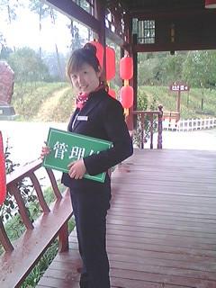 供應(yīng)雅安茶苗