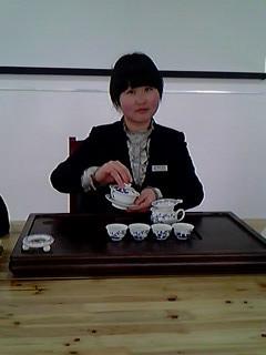 供應優(yōu)質龍井茶苗、龍井43號茶苗