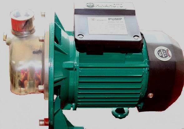 不銹鋼清水泵圖片/不銹鋼清水泵樣板圖 (3)