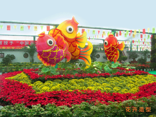 山東花卉山東青州花卉圖片