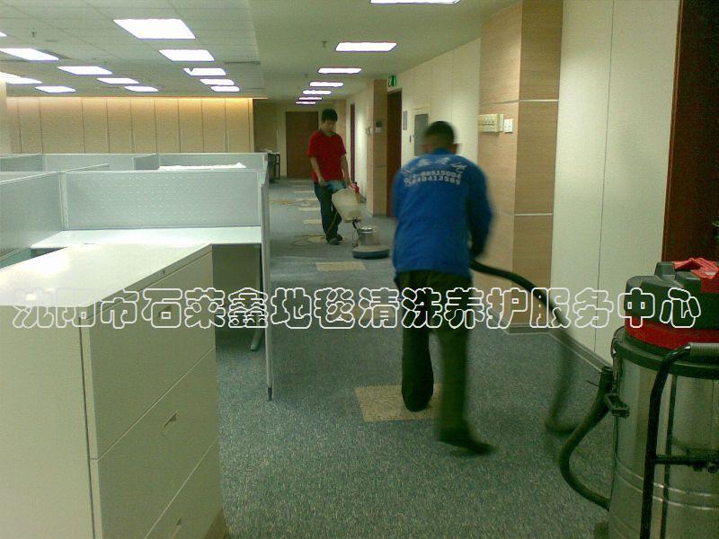 沈陽市辦公室地毯清洗圖片/沈陽市辦公室地毯清洗樣板圖 (4)