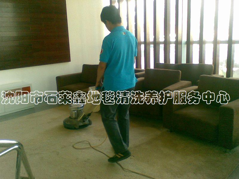 沈陽市辦公室地毯清洗圖片/沈陽市辦公室地毯清洗樣板圖 (2)