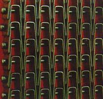 長城型網(wǎng)帶輸送網(wǎng)帶圖片