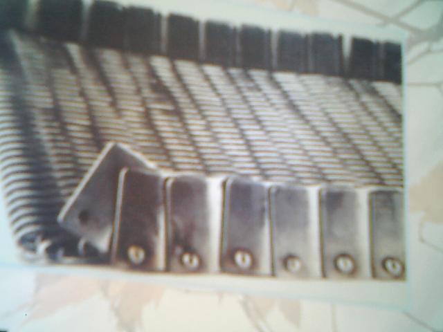 供應(yīng)江蘇江都金屬網(wǎng)帶檔片型網(wǎng)帶人字型網(wǎng)帶長(zhǎng)城型網(wǎng)帶