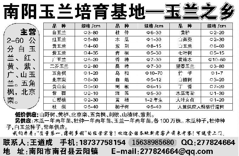 山茱萸圖片/山茱萸樣板圖 (3)