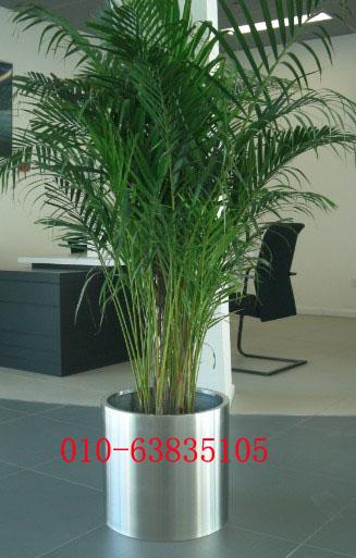 不銹鋼花盆圖片/不銹鋼花盆樣板圖 (2)