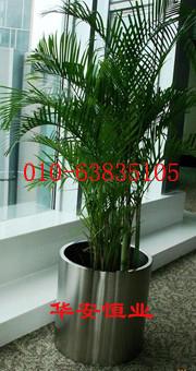 供應不銹鋼花盆02