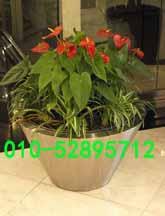 供應(yīng)定做新款不銹鋼花盆