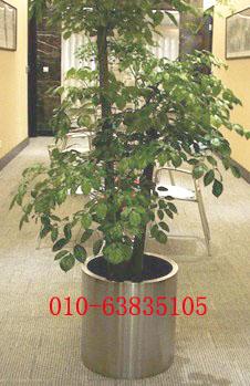 定做不銹鋼花盆7圖片