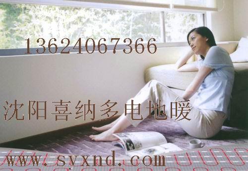 供應(yīng)遼寧電地暖安全與效果