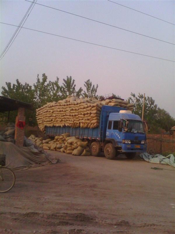 供應(yīng)開(kāi)封建筑*珍珠巖