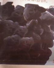 供應(yīng)風(fēng)尾菇