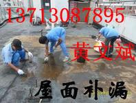 供應(yīng)中信地產(chǎn)陽(yáng)光假日東莞防水補(bǔ)漏公司