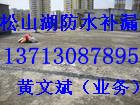 东莞市东莞市防水补漏电话厂家东莞市防水补漏电话13713087895 黄文斌