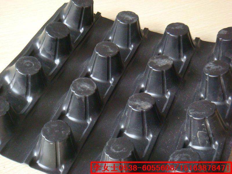 批發(fā)到大同的塑料排水板-性價(jià)比高圖片