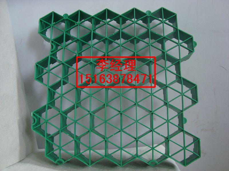 供應塑料植草格-山東生產(chǎn)廠家批發(fā)汾陽