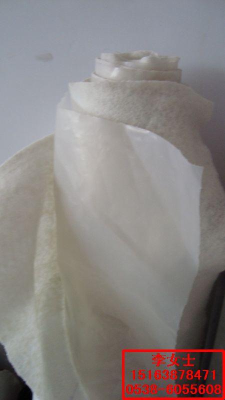 供應(yīng)建陽養(yǎng)魚養(yǎng)藕蓄水池*-復(fù)合土工膜