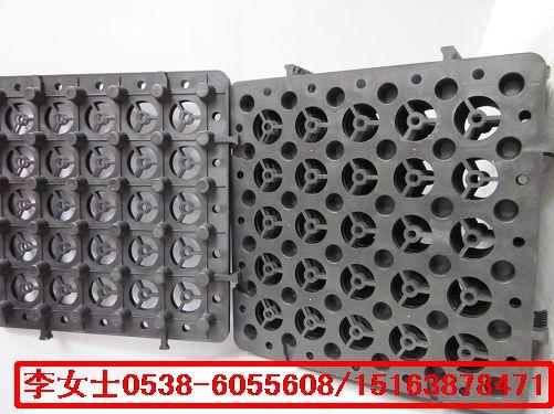 山東塊狀塑料蓄排水板圖片