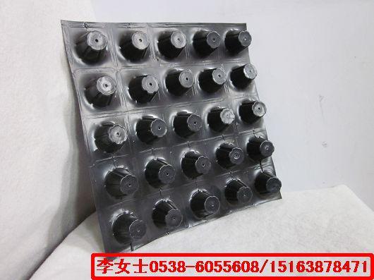 排水板-海城車庫(kù)頂板綠化排水專用圖片