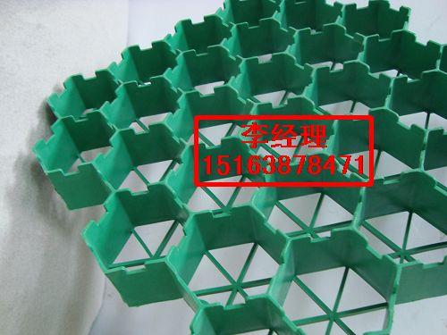 供應塑料植草格-山東生產(chǎn)廠家批發(fā)汾陽