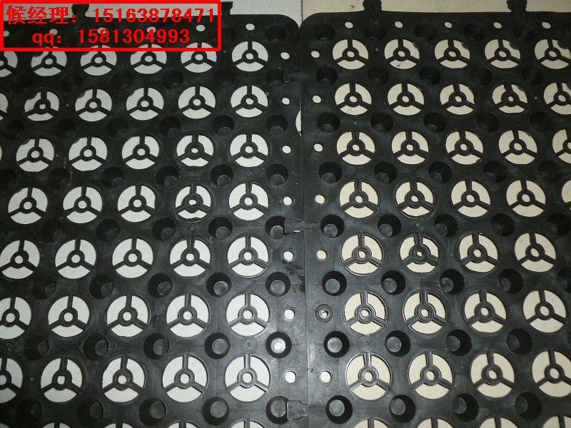 2公分蓄排水板圖片