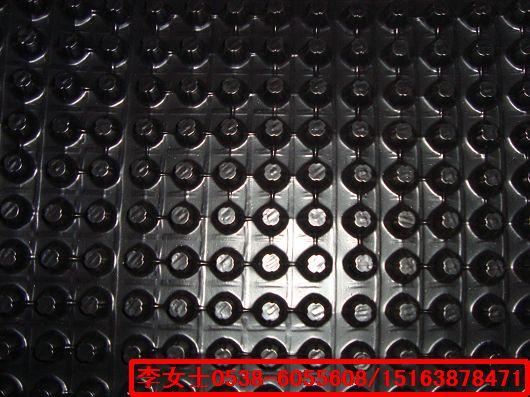 綠泰低價(jià)排水板到寶雞圖片