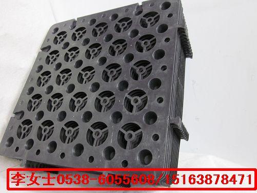 嘉峪關(guān)蓄排水板圖片